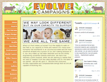 Tablet Screenshot of evolvecampaigns.org.uk